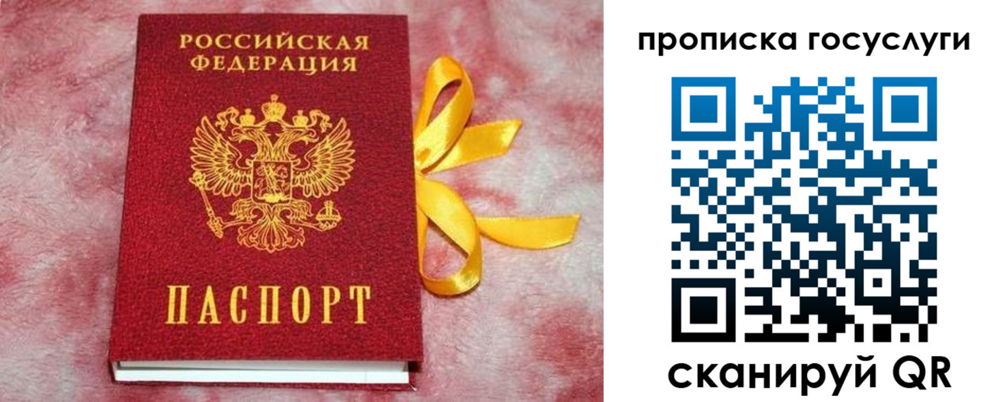 прописка законно в Анадыре